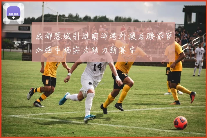 成都蓉城引进前海港外援后腰茹萨加强中场实力助力新赛季
